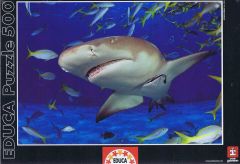 Shark - 500 brikker (1)
